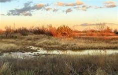 Texas 10 Acre Hudspeth County Land by Rio Grande River with Easement via Dirt Road! Low Monthly Payment!