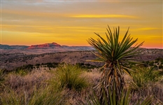 Texas Hudspeth County 10 Acres by Rio Grande with Easement Access from Dirt Road and Mountain View! Low Monthly Payments!