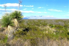 Texas 10.8 Acre Great Investment Opportunity Hudspeth County with Road Easement Next to Rio Grande River! Low Monthly Payments!