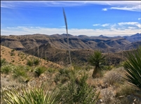 Texas Jeff Davis County 10 Acre Property! Incredible Recreation And Desert Plateaus Views! Low Monthly Payments!