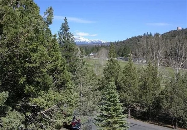 Northern California Siskiyou County 0.23 Acre Property with Great View of Golf Course! Incredible Investment near Lake Shanista! Low Monthly Payments!