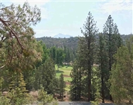 Northern California Siskiyou County 0.23 Acre Property with Great View of Golf Course! Incredible Investment near Lake Shanista! Low Monthly Payments!