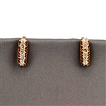 14K Yellow Gold 0.75CT Diamond Earrings -PNR-