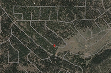 Northern California Modoc County 1 Acre Recreational Homesite! Low Monthly Payment!