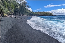 Hawaii Property Gorgeous Hard to Find Tropical Homesite Investment Lot in Nanawale Estates with Low Monthly Payments!