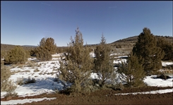 Northern California Modoc County 0.92 Acre Lot! Great Recreational Investment! Low Monthly Payments!