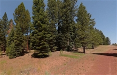 Prime Location California Pines Modoc County 0.9 Acre Property near Ponds and Homes with Gorgeous Views! Low Monthly Payments!