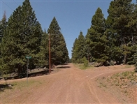 Prime Location California Pines Modoc County 0.9 Acre Property near Ponds and Homes with Gorgeous Views! Low Monthly Payments!