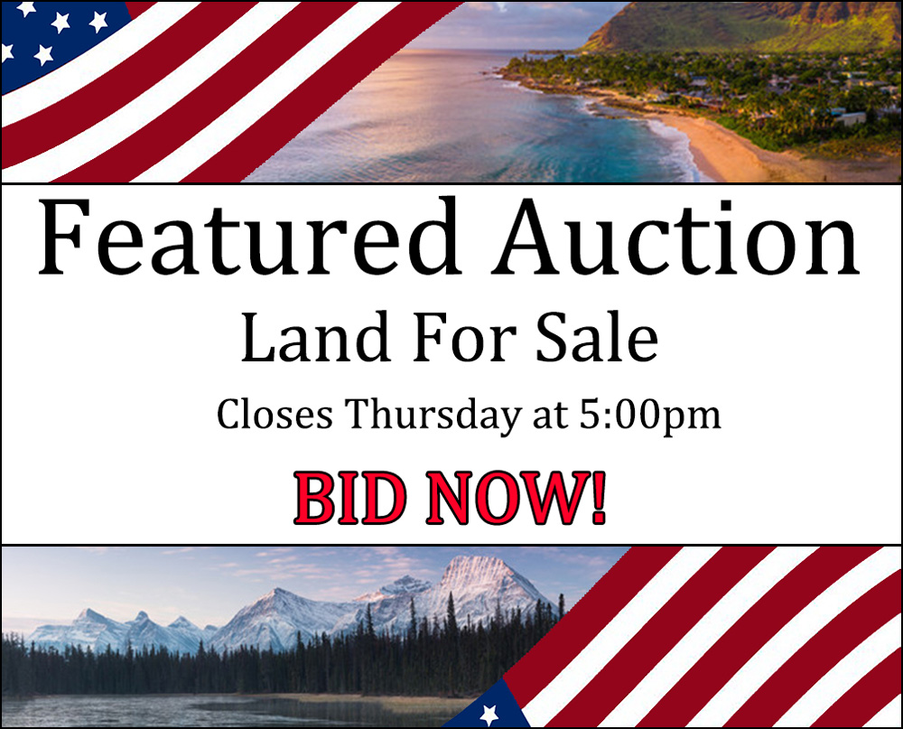 featured auction