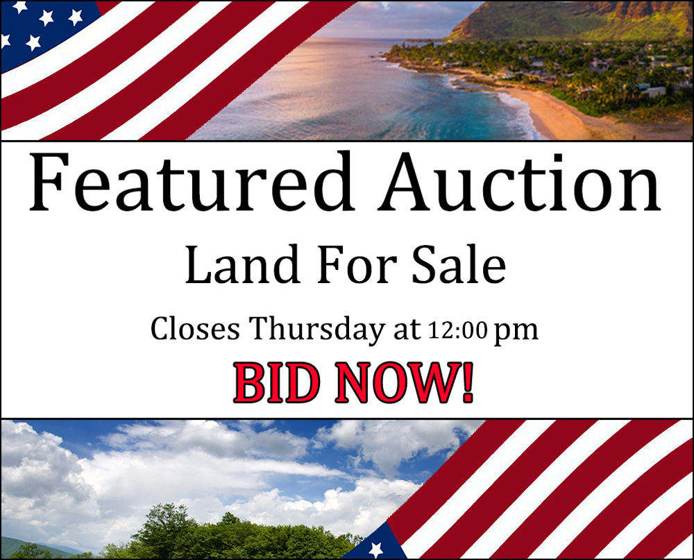 featured auction