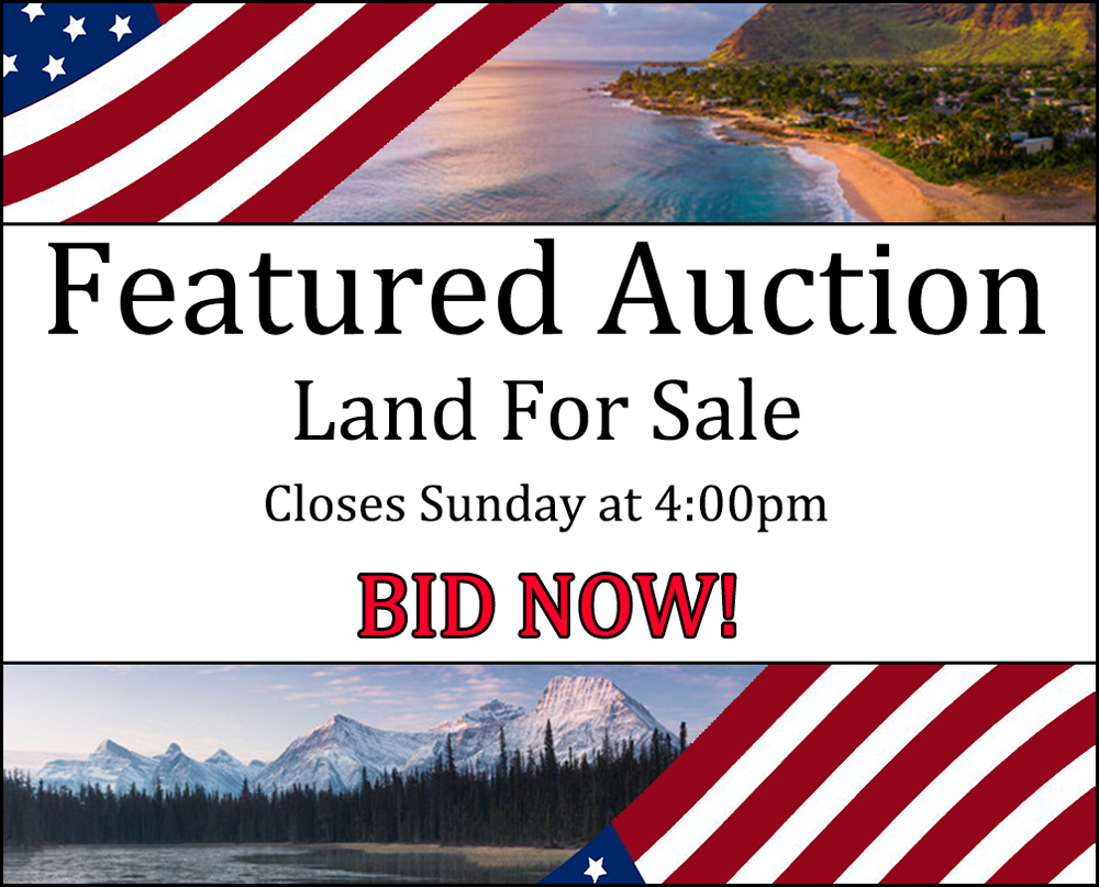 featured auction