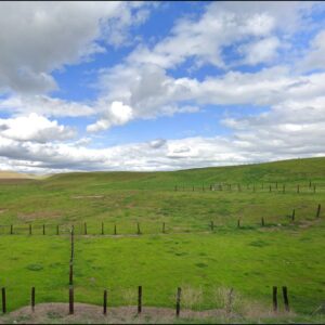 0.29 Acre Lot In Cherokee Village, AR Near Lake Thunderbird With Resort Style Amenities