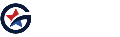 Government Auction